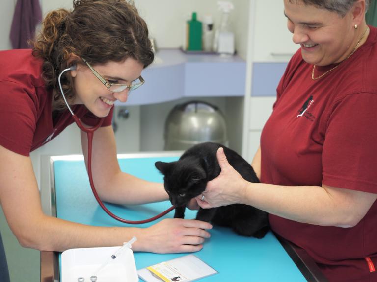 Tiermedizinische Vorsorge