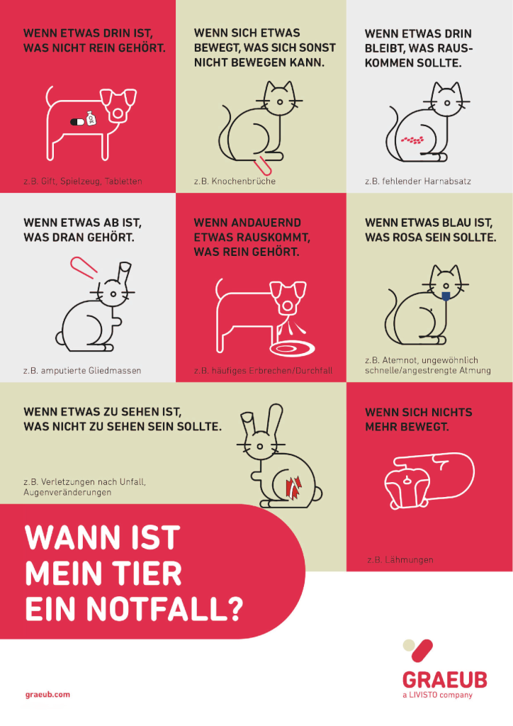 Was ist ein Notfall bei Haustiere?
