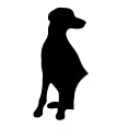Hund und Katze mit einem Herz